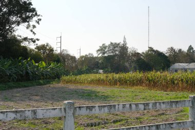 uçan ve sıvı gübre veya herbici püskürtme tarım dron
