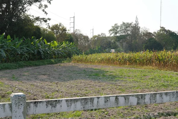 Agricultura drone vuelo & pulverización fertilizante líquido o herbici —  Fotos de Stock