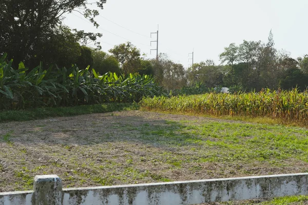 Zemědělství drone flying & postřik kapalné hnojivo nebo herbici — Stock fotografie