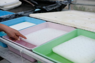 Islı sünger üzerinde tohum. 