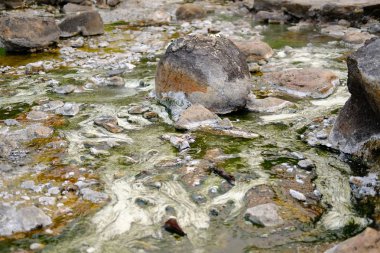 kaplıca jeotermal maden suyu