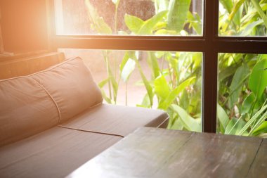 bahçe penceresi yakınında oturma odasında kanepe kanepe