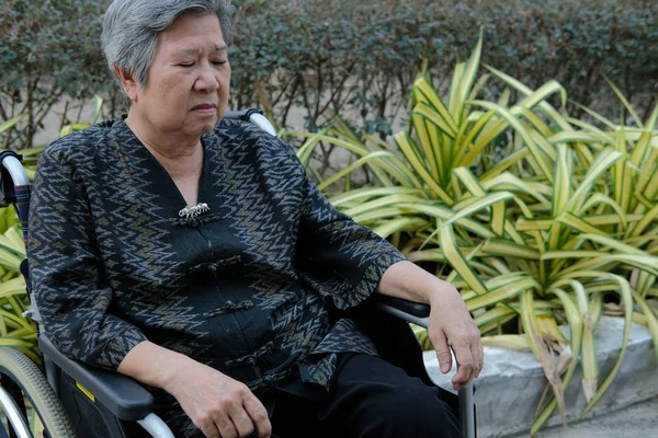 Bored elder woman in wheelchair sleeping in garden. elderly fema — Stock Photo, Image