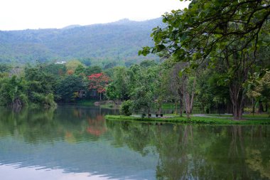 gölet göl dağ manzarası manzara 