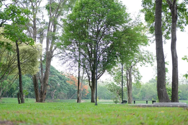 Spokojna scena z widokiem na ogród park w godzinach porannych — Zdjęcie stockowe