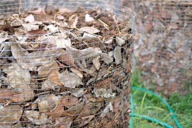 organik kompost yığını. toprak ekimi için gübre üretimi