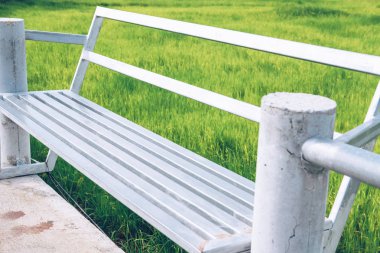 pirinç çeltik alanı ile sandalye tezgah 