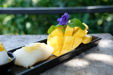 mango yapışkan pirinç hindistan cevizi sütü. geleneksel Tay tatlısı