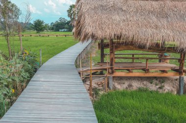 pirinç çeltik alanı boyunca ahşap köprü yaya geçidi patika yolu 