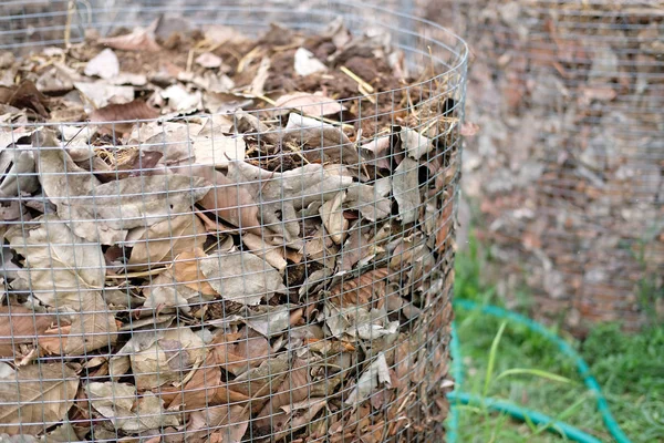 organik kompost yığını. toprak ekimi için gübre üretimi