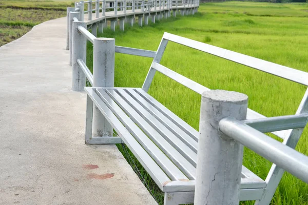 pirinç çeltik alanı ile sandalye tezgah 