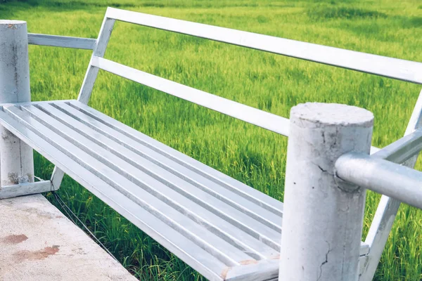 pirinç çeltik alanı ile sandalye tezgah 