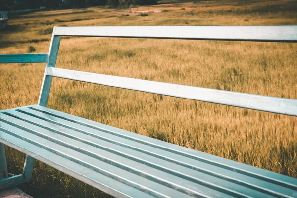 Chair bench with rice paddy field — Stock Photo, Image