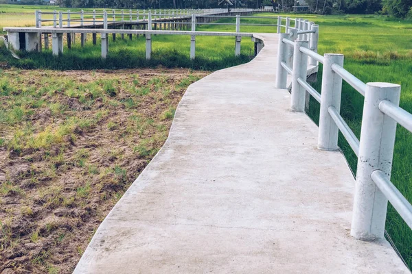 pirinç çeltik alanı boyunca köprü yaya geçidi geçit yolu 