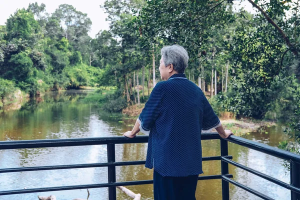 老年妇女看湖池景观 — 图库照片