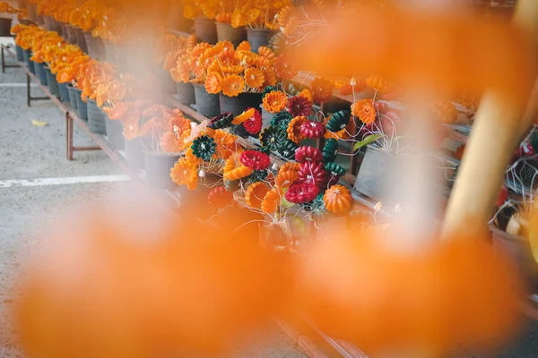 Vela de flores para hacer mérito de adoración a buddha — Foto de Stock