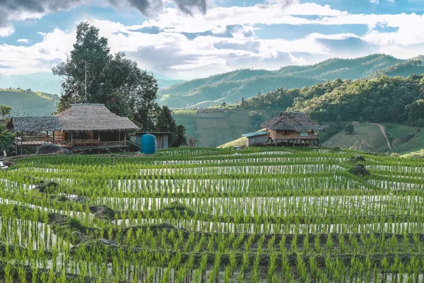 Rice Terrace risfält på berget — Stockfoto