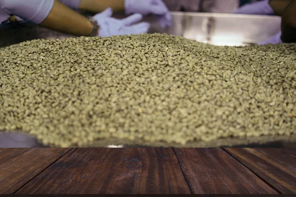 Řazení pracovníků výběr zelené nepražené kávové fazole v potravinách — Stock fotografie