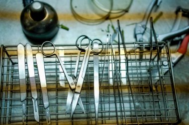 bitki doku kültürü için plier bıçak makas 