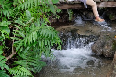ormanakan dere su dere şelale
