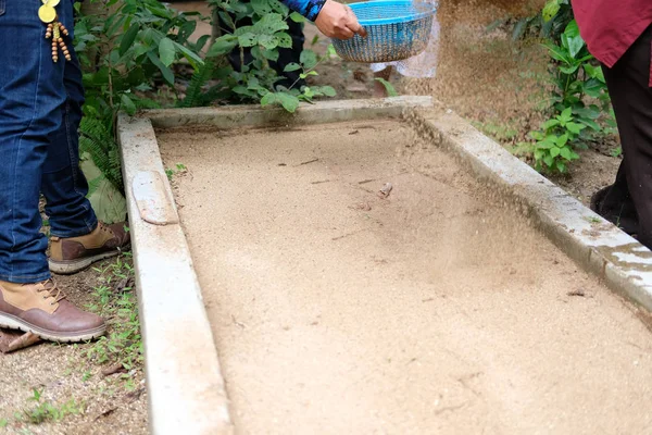 Farmer pouring sand on plant bed after growing tree — Stock Photo, Image