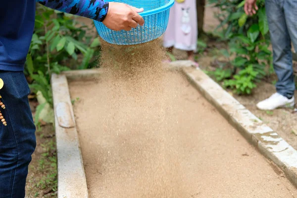 Farmer pouring sand on plant bed after growing tree — Stock Photo, Image