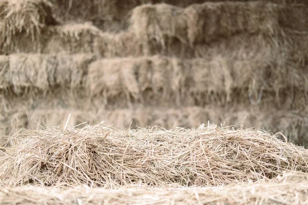 Hooi van rijststro op de boerderij — Stockfoto