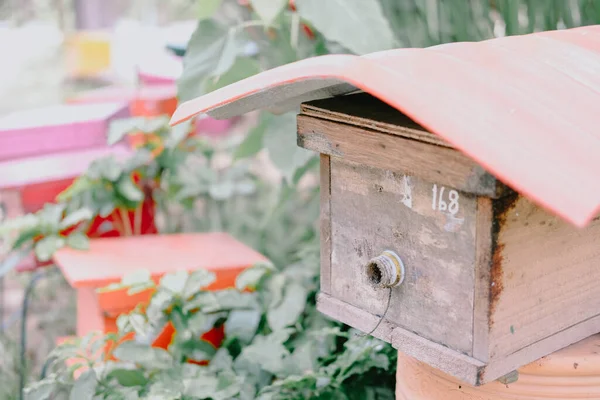 honey bee beehive. bees house in garden