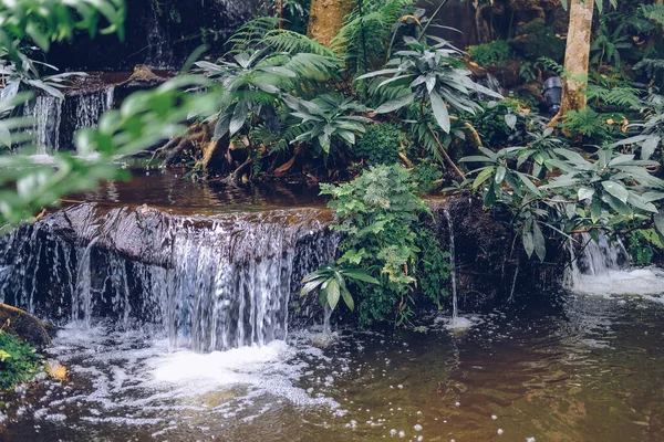 Cascata Watefall Stagno Albero Delle Piante Nel Parco Giardino — Foto Stock