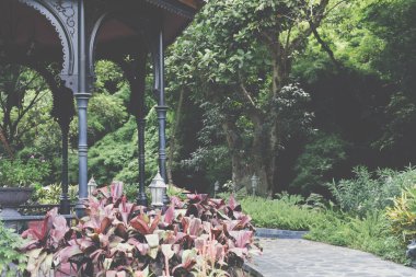 Bahçe parkında dinlenmek için çardak köşkü. Sakin doğa sahnesi