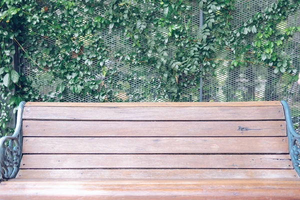 Chaise Banquette Bois Dans Parc Jardin Printemps Été — Photo