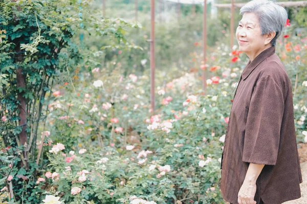 老妇人躺在玫瑰花园子里 亚洲老年女性在户外放松 老年人休闲生活方式 — 图库照片