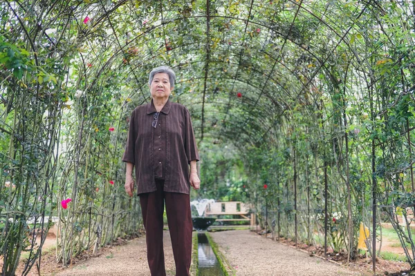 老妇人躺在玫瑰花园子里 亚洲老年女性在户外放松 老年人休闲生活方式 — 图库照片