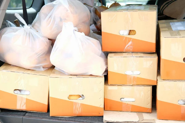 karton kutuda meyve ve arabada torba. Çiftlikten yiyecek teslimatı