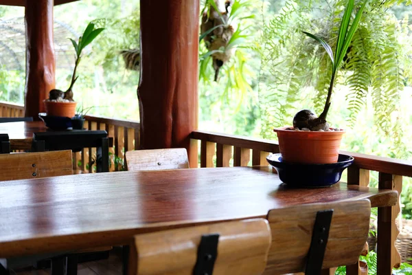 Wooden Table Terrace Balcony Garden View — Stock Photo, Image