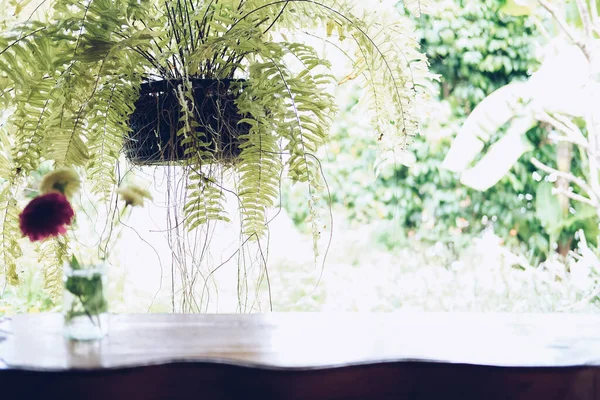 eğreltiotu yaprakları balkon terasında dekore ediliyor.