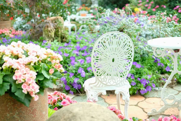 Witte Metalen Stoel Bloemenpark Lente Zomer — Stockfoto