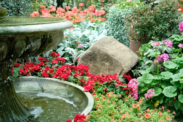 Fountain Flower Blossom Garden Park — Stock Photo, Image