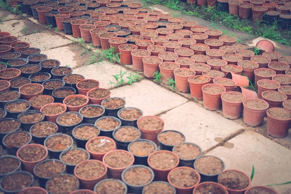 Tierra Fertilizante Maceta Siembra Para Cultivo Plántulas Plantas Trasplante Granja —  Fotos de Stock