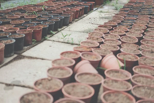 농장에서 식물을 재배하기 화분을 — 스톡 사진