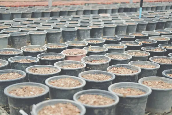 Solo Fertilizante Vaso Plantio Para Cultivo Mudas Plantas Fazenda — Fotografia de Stock
