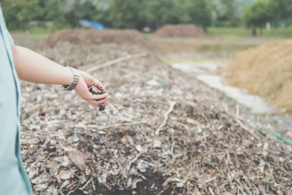 Montón Compost Orgánico Producción Fertilizantes Para Cultivo Del Suelo Industria —  Fotos de Stock