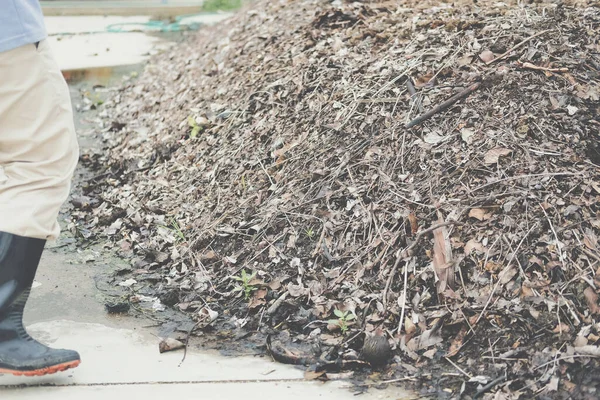 Montón Compost Orgánico Producción Fertilizantes Para Cultivo Del Suelo Industria —  Fotos de Stock