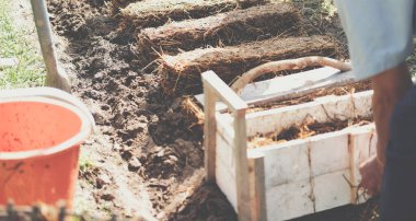 Çiftçi çiftlikte pilav pipetinde saman mantarı yetiştiriyor. Volvariella volvacea mantarı.