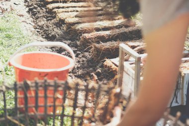 Çiftçi çiftlikte pilav pipetinde saman mantarı yetiştiriyor. Volvariella volvacea mantarı.