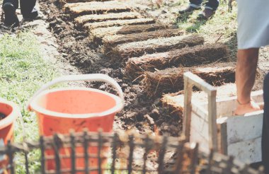 Çiftçi çiftlikte pilav pipetinde saman mantarı yetiştiriyor. Volvariella volvacea mantarı.