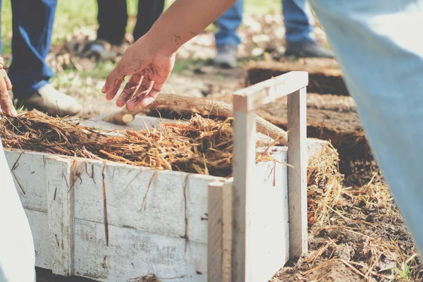 Çiftçi çiftlikte pilav pipetinde saman mantarı yetiştiriyor. Volvariella volvacea mantarı.