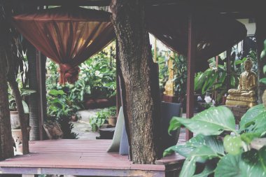 Bahçede meditasyon için sivrisinek meditasyon ağı