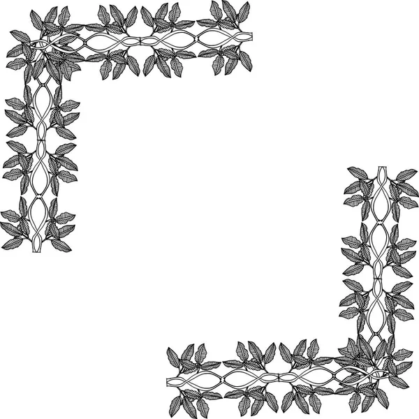 Vector illustratie elegante bloem frame met achtergrond wit — Stockvector