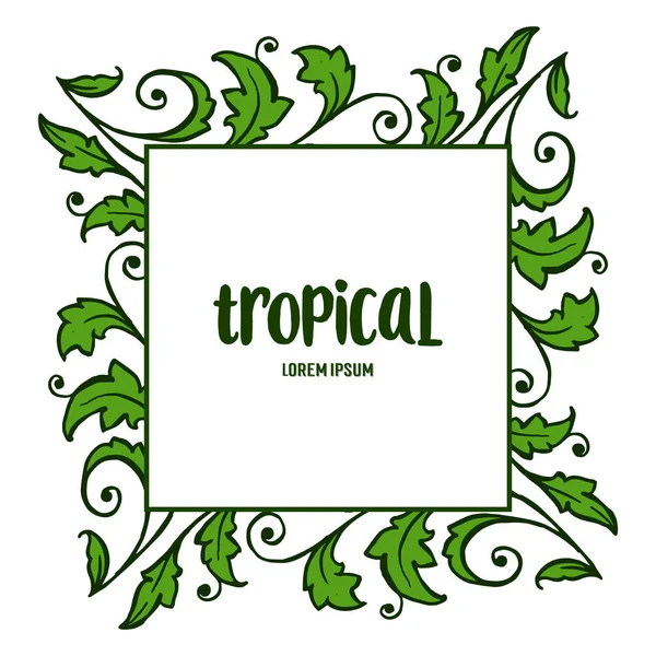 Texture carte tropicale avec cadre de feuilles vertes, isolé sur fond blanc. Vecteur — Image vectorielle